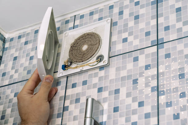 Best Air Vent Cleaning Services  in Denmark, WI